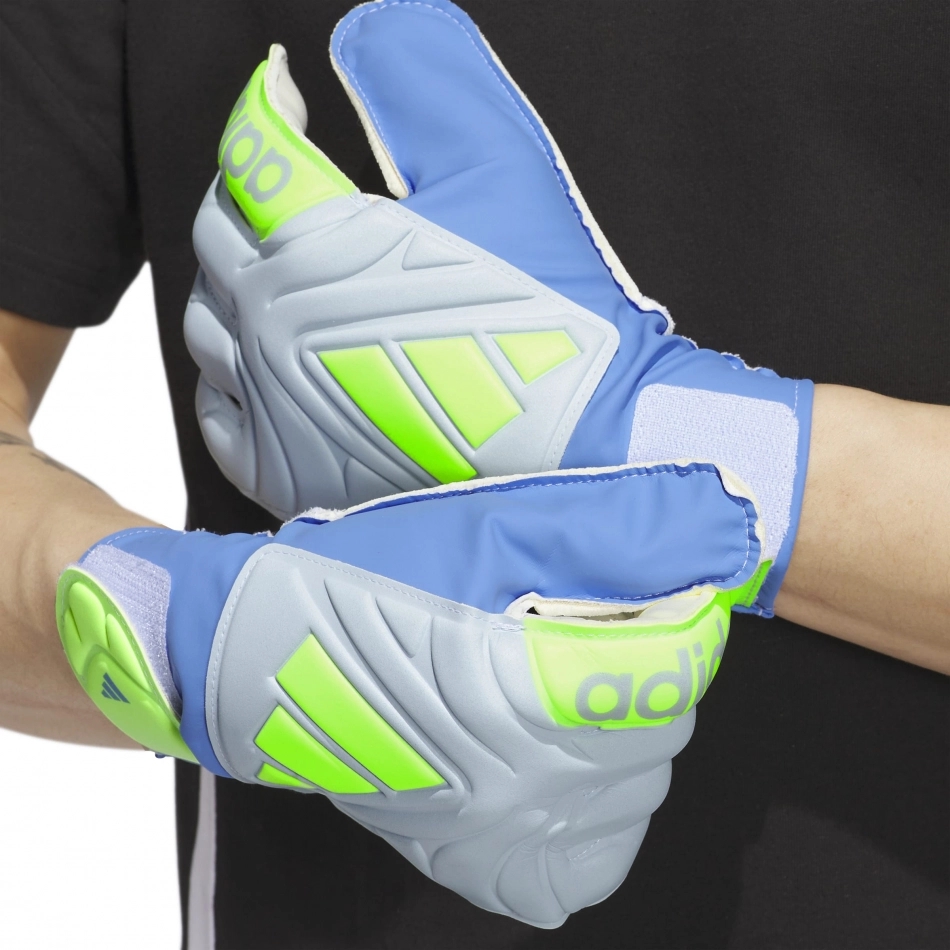 demo